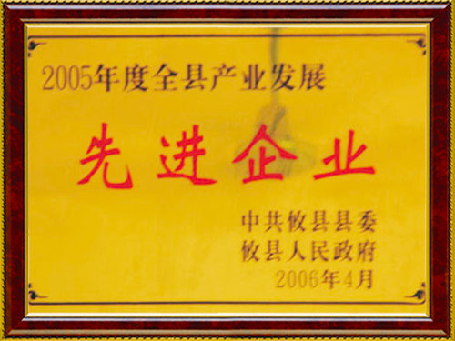 2005  先進企業(yè)